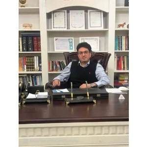 وکیل دادگستری محمد خانی
