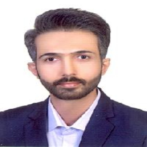 رضا نیک فر