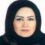 شهرو حاجی عبدالحمیدی