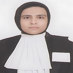 وکیل مدینه جمالی