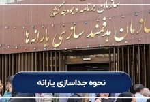 نحوه جداسازی یارانه